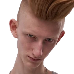 הג׳ינג׳י
